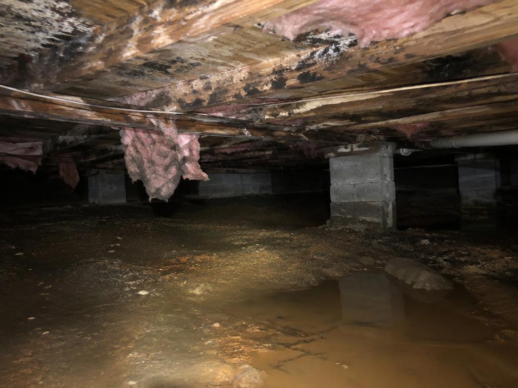 Crawl space before encapsulation